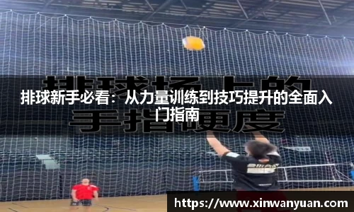 星空电子首页网站